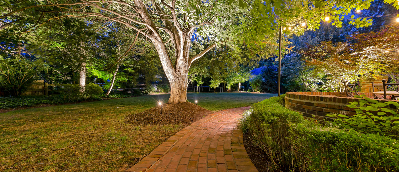 A brick path with lights on it and a tree in the middle